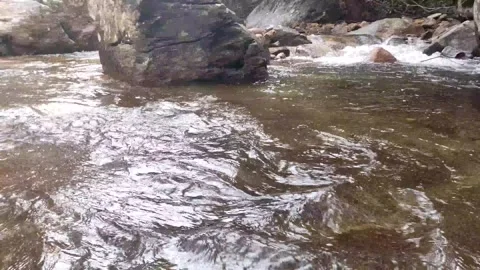Water flowing into the river Stock Footage 260672101