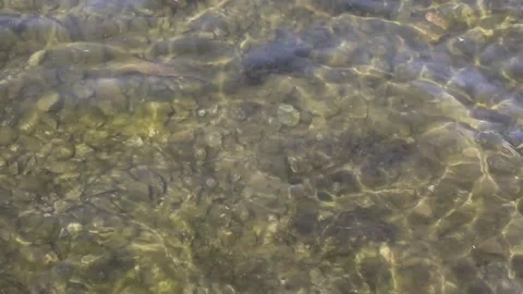 Water flowing into the river Stock Footage 310079517