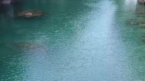 Water flowing into the river Video stock 310345196