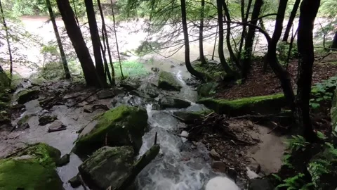 Water flowing into a river Stock Footage 310966688