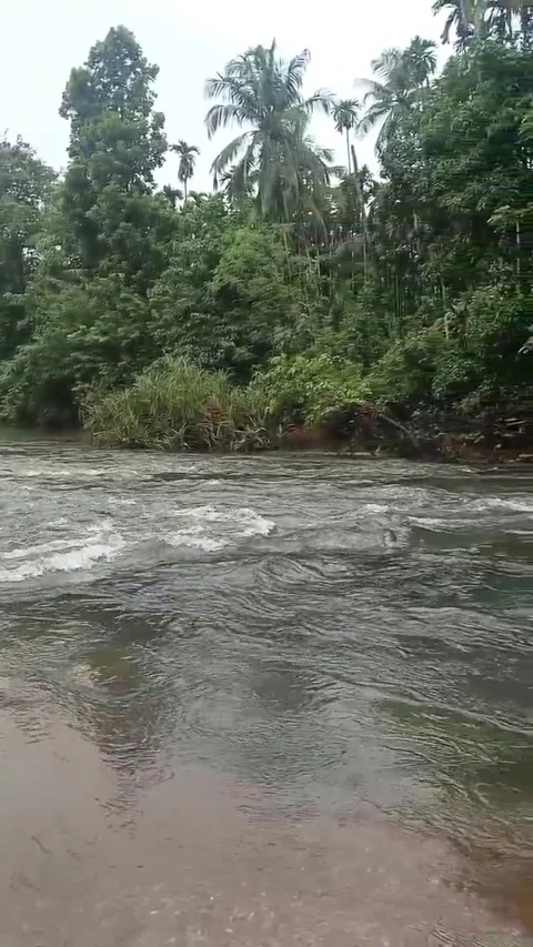 Water flowing in river Video stock 314494033