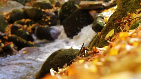 Water flowing into the river Stock Footage 321084246