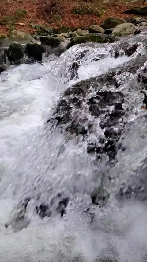 Water flowing into the river Stock Footage 323296355