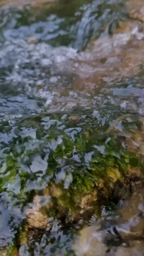 Water flowing into the river Video stock 330256923