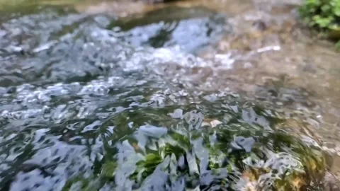 Water flowing into the river Stock Footage 330256926