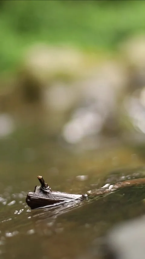 Water flowing into the river Stock Footage 338169091