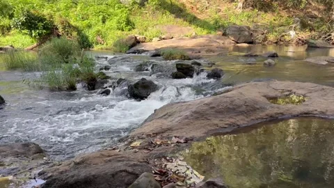 Water flowing in river High quality 4k video - Stream of water Stock Footage 270554352