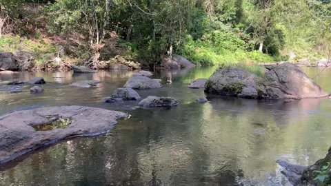 Water flowing in river High quality 4k video in 60 fps - Stream of water Stock Footage 270782565
