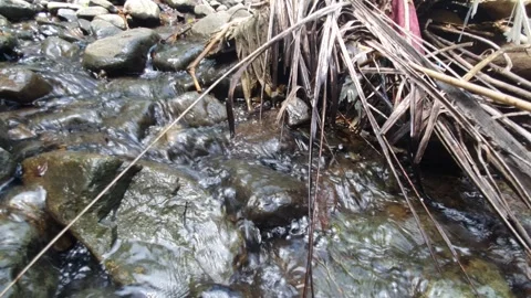 Water flowing on river rocks Stock Footage 305149212