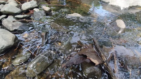 Water flowing on river rocks 库存影片 305159018