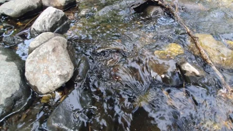 Water flowing on river rocks Stock Footage 305163658