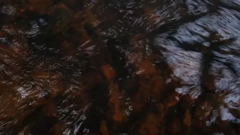 Water flowing in a river, small stream Stock Footage 143646978