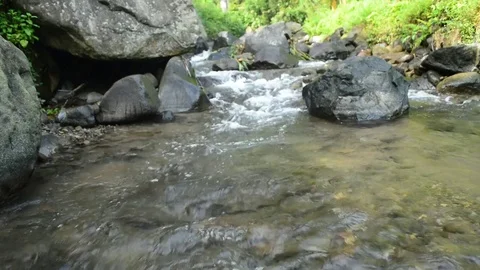 The water flowing in the river so calmly looks cool and fresh Stock Footage 76256151