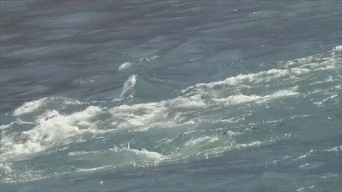 Water flowing in the river in spring Stock Footage 74654559