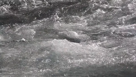 Water flowing in the river in spring Stock Footage 75718093