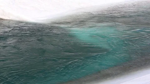 Water flowing in the river in spring Stock Footage 77259946