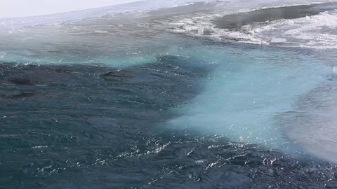 Water flowing in the river in spring Stock Footage 77260079