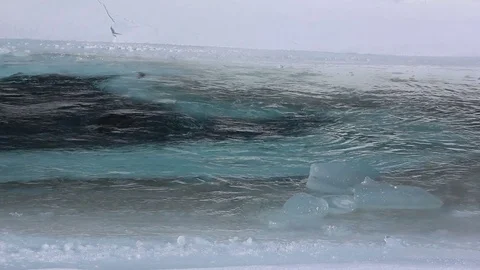 Water flowing in the river in spring Stock Footage 77260116