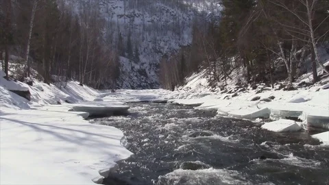 Water flowing in the river in spring, Ursul River, Altai, Russia Stock Footage 75717091