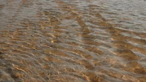 Water flowing in a river stream 스톡 동영상 244326333