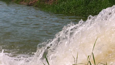 Water flowing into river surrounded by green grass and vegetation, Vídeos de archivo 282082206