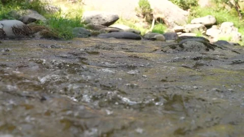 Water flowing in a riverbed close-up Stock Footage 136511198