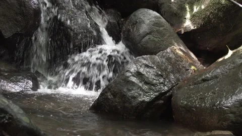 Water flowing from a rock Stock Footage 166645657