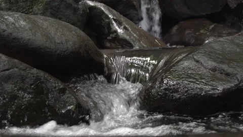 Water flowing from a rock Stock Footage 166645685