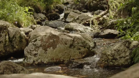 Water flowing rock Stock Footage 279662651