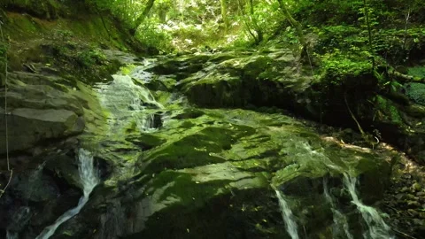 Water flowing on rocks Video stock 240784038