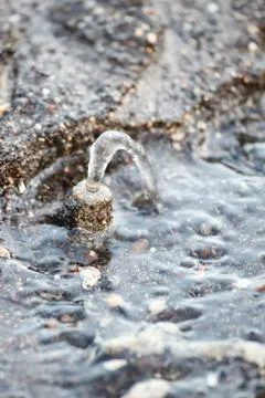 Water flowing from sand in beach close-up Stock Photos