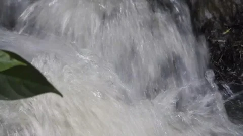 Water Flowing in a Small Forest Stream Stock Footage 308530164