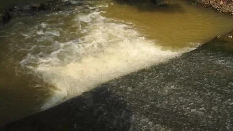 Water Flowing in a Small Forest Stream Stock Footage 308530283
