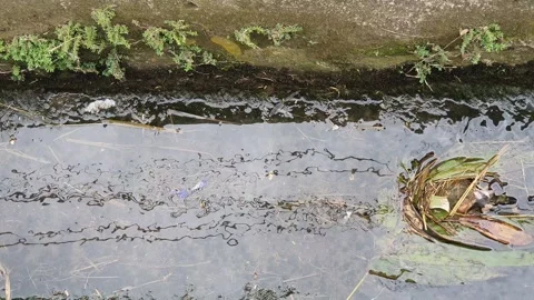 Water flowing in a small gutter Stock Footage 310289328