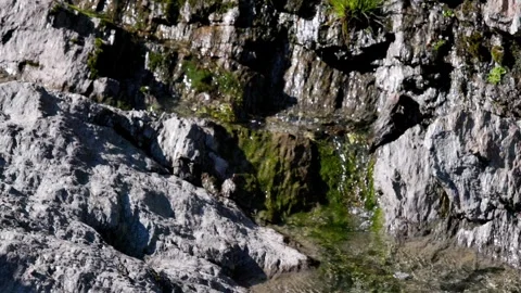 Water flowing in a small mountain river - Italy Stock Footage 315515001