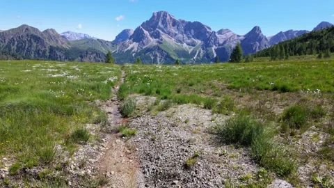 Water flowing in a small mountain river - Italy Stock Footage 315515005