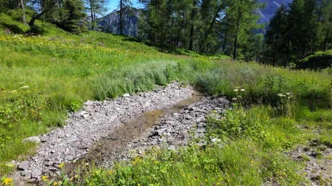 Water flowing in a small mountain river - Italy Stock Footage 315515006