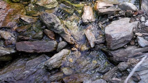 Water flowing in a small mountain river - Italy Stock Footage 315515008