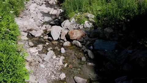 Water flowing in a small mountain river - Italy Stock Footage 315515012