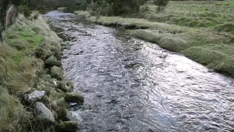Water Flowing in a Small River Stock Footage 81753322
