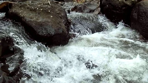 Water flowing on small river stream on black rock Stock Footage 123947637