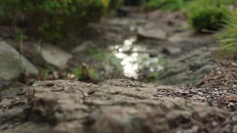 Water flowing in a small shallow creek in a park Stockbeeldmateriaal 336307705