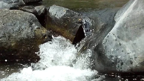 Water flowing like small waterfall between black rocks on the river Stock Footage 120327249