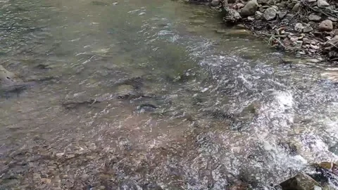 Water flowing smoothly original video speed Stock Footage 200361689