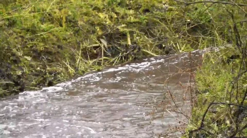Water flowing with sound Video stock 75388915