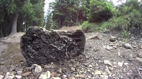 Water flowing from the source made from wood Stock Footage 54123239