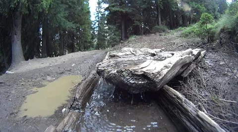 Water flowing from the source (spring) Stock Footage 54119793