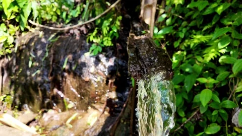 Water Flowing from a Split Bamboo Channel into a Tropical Garden 스톡 동영상 348064267