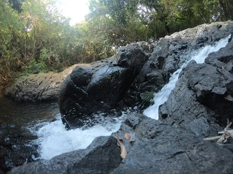 Water flowing from a spring hidden in a forest at Plaine Wilhems,  Mauritius Video stock 103624389