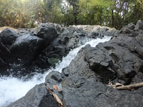 Water flowing from a spring hidden in a forest at Plaine Wilhems,  Mauritius Video stock 103731624